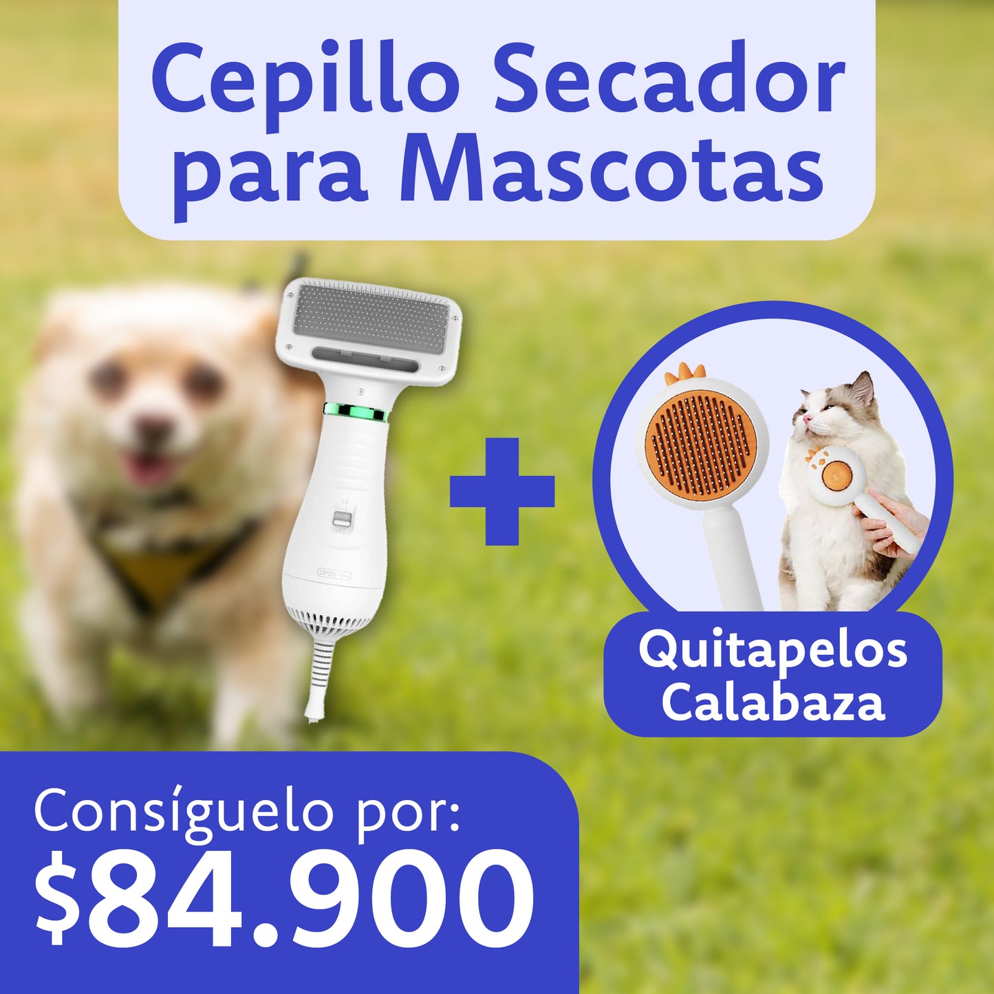 Cepillo Mascotas + Quitapelos Calabaza