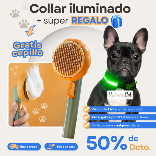 Collar Iluminado + Cepillo