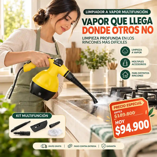 LIMPIADOR A VAPOR