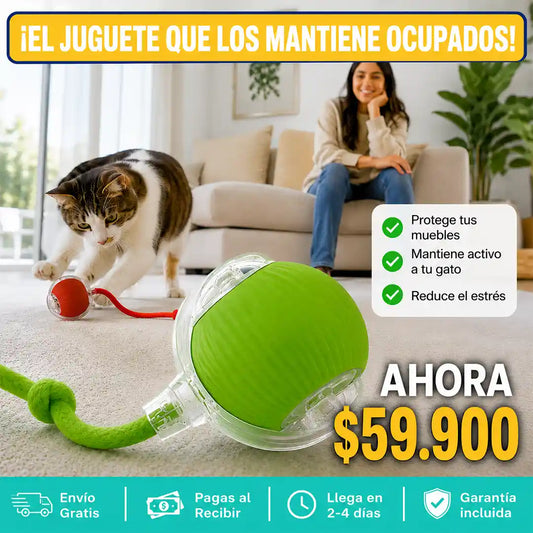Pelota Interactiva para Gatos